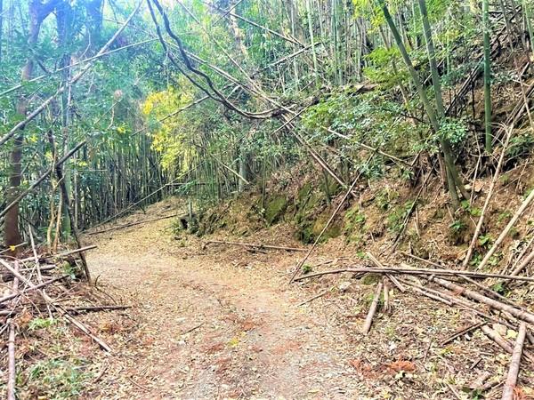糸島市二丈一貴山土地の前面道路含む現地写真画像