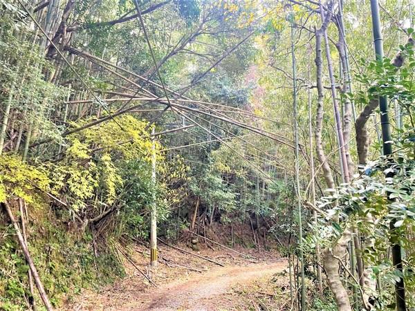 糸島市二丈一貴山土地の前面道路含む現地写真画像