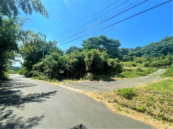 糸島市志摩馬場字二又土地の前面道路含む現地写真画像