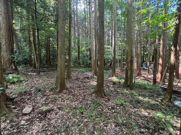 西区大字金武字平原土地の現地土地写真画像