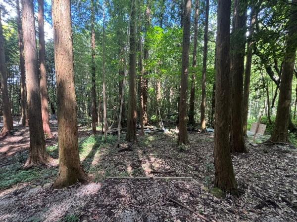 西区大字金武字平原土地の現地土地写真画像