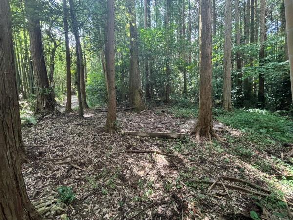 西区大字金武字平原土地の現地土地写真画像