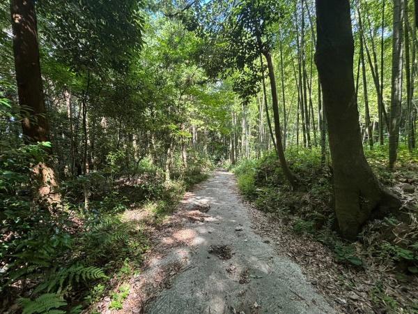 西区大字金武字平原土地の前面道路含む現地写真画像