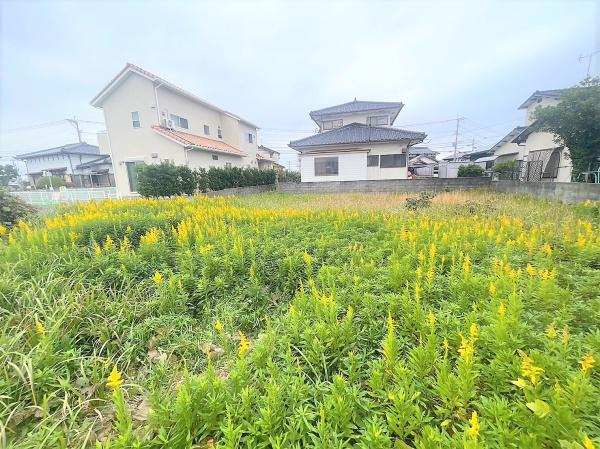 福津市福間南2丁目宅地 土地