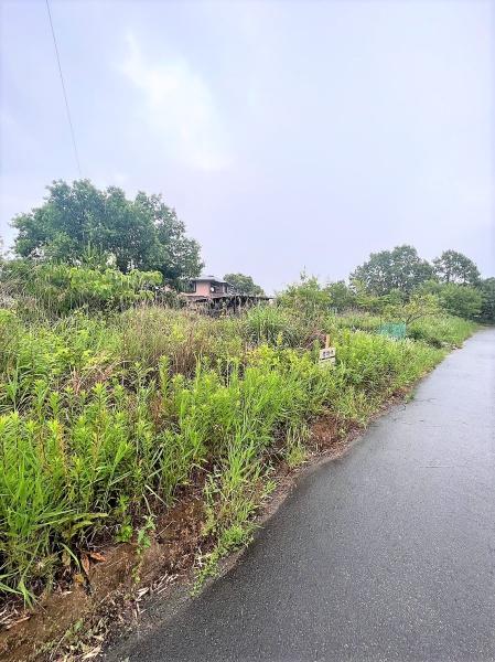 福岡県小郡市三沢土地の前面道路含む現地写真画像
