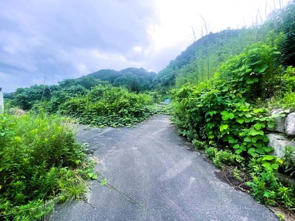 那珂川市大字西隈字城林谷土地の前面道路含む現地写真画像