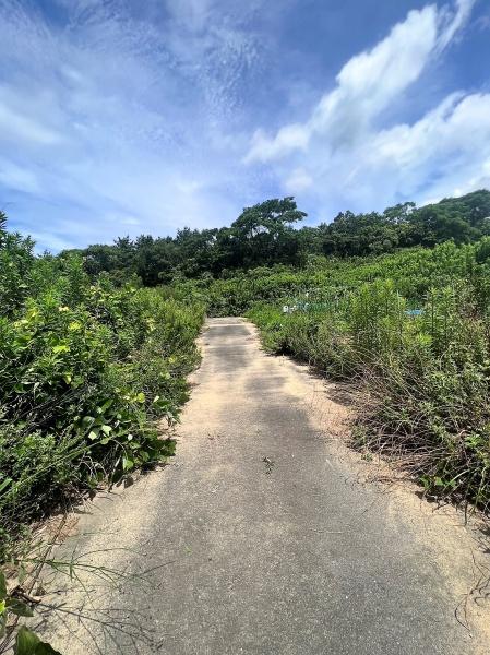 宗像市江口土地のその他現地画像