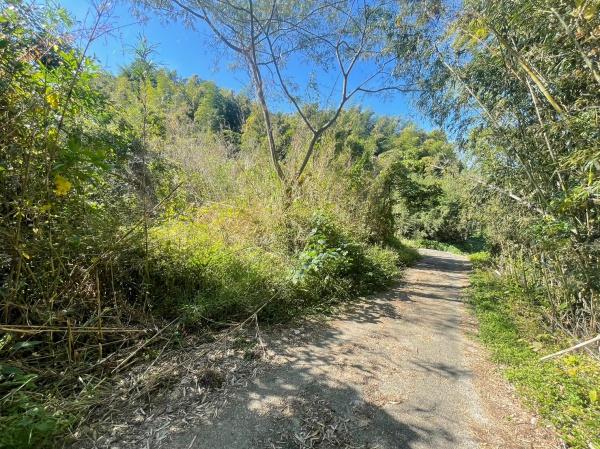 糸島市川付字荒毛土地の前面道路含む現地写真画像