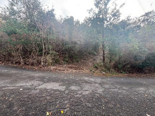 福岡市西区今宿上ノ原字車ノ原土地のその他現地画像