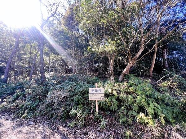 太宰府市大字大佐野土地 土地