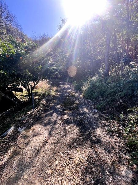 太宰府市大字大佐野土地の前面道路含む現地写真画像