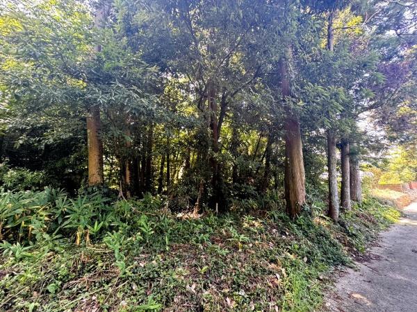 福岡市早良区東入部２丁目土地の前面道路含む現地写真画像