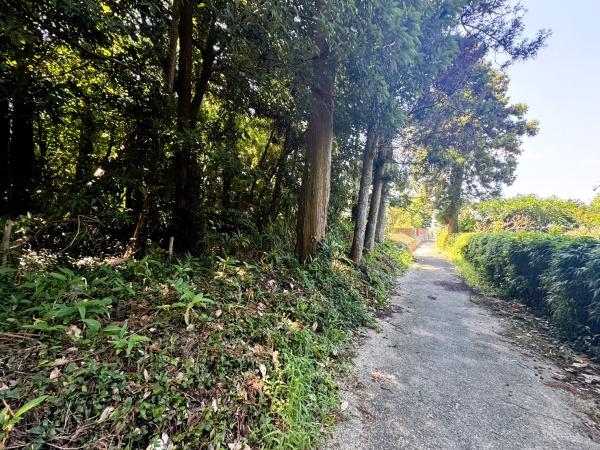 福岡市早良区東入部２丁目土地の前面道路含む現地写真画像