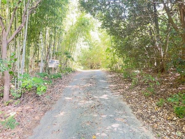 宗像市池田土地の前面道路含む現地写真画像