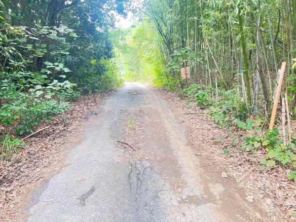 宗像市池田土地の前面道路含む現地写真画像