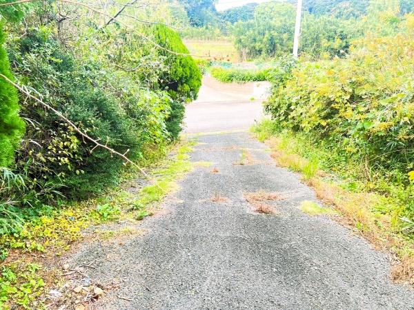 宗像市池田土地の前面道路含む現地写真画像