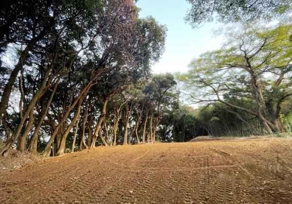 糸島市曽根字南土地 土地