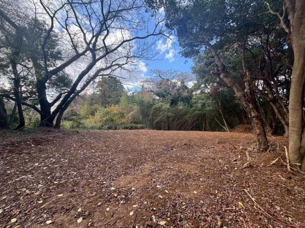 糸島市曽根字南土地のその他現地画像