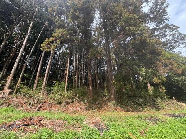 福岡市東区大字上和白土地の現地土地写真画像