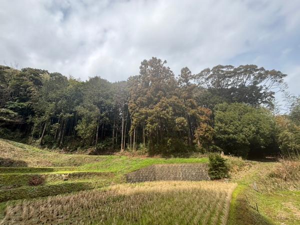 福岡市東区大字上和白土地の現地土地写真画像