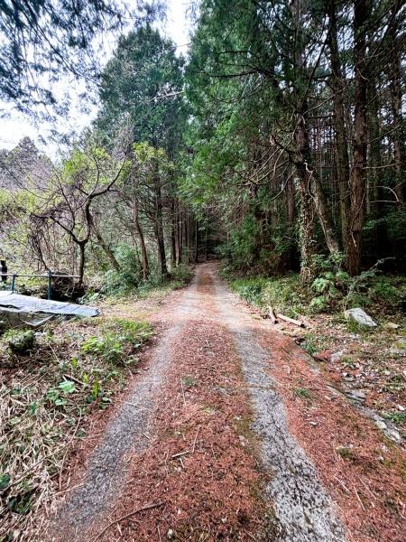 福岡市早良区大字西字長尾土地の前面道路含む現地写真画像