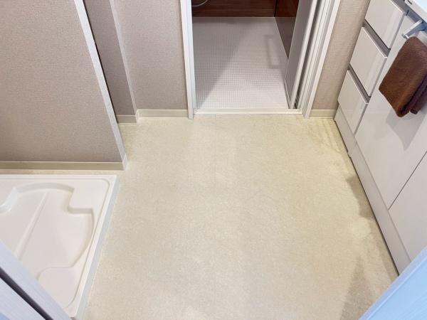 グラフォーレ荒江サウステラスの洗面台・洗面所画像