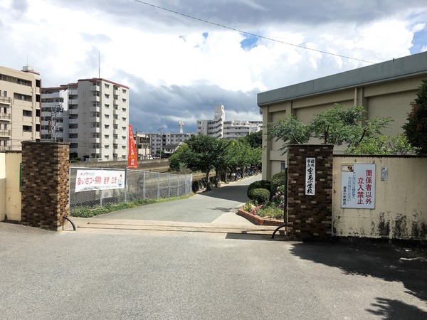 弥生パインマンションの小学校画像