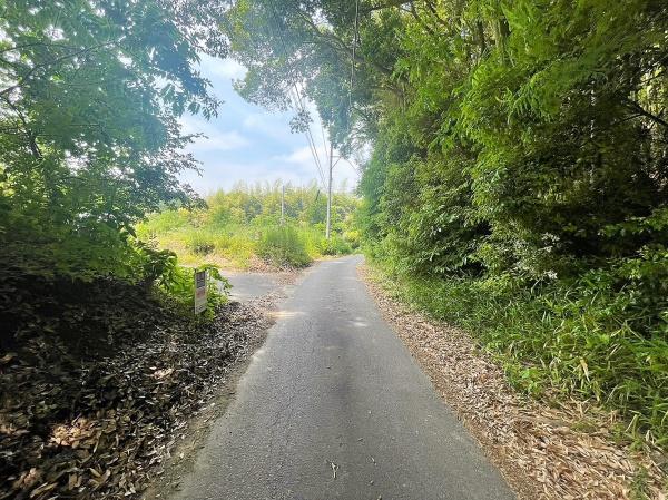 佐賀県鳥栖市江島町土地②の前面道路含む現地写真画像