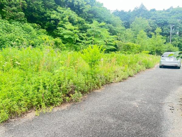 福岡県筑紫野市大字原田土地の前面道路含む現地写真画像