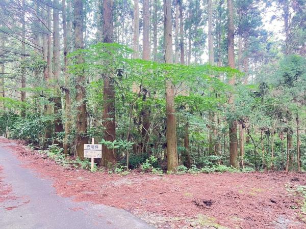 福岡市早良区大字椎原字長野土地 土地