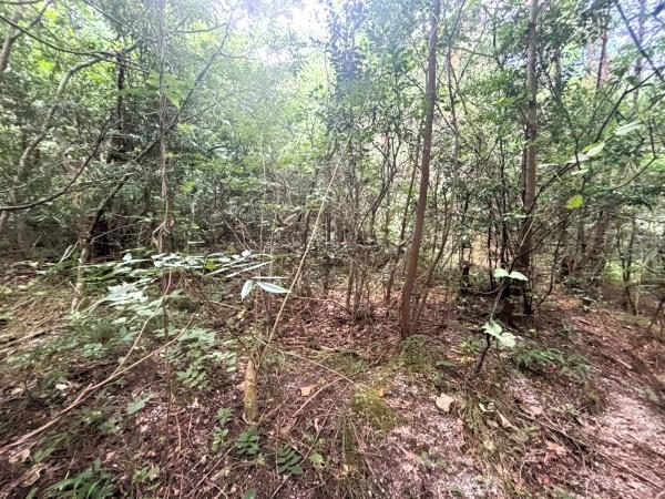 福岡市早良区大字内野字熊山土地 土地
