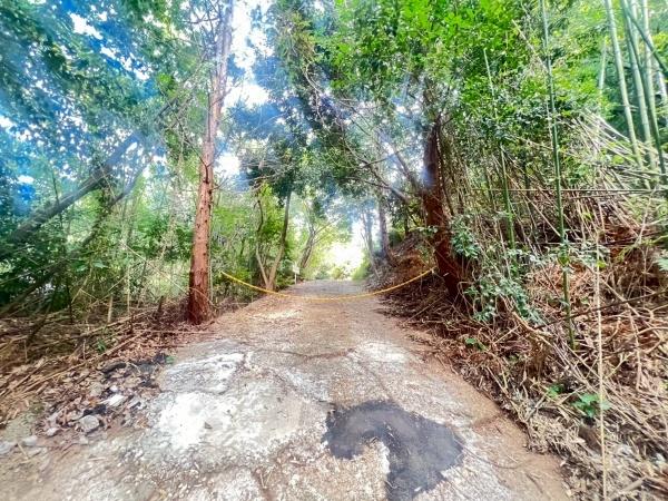 福岡市西区今津字上塚土地の前面道路含む現地写真画像
