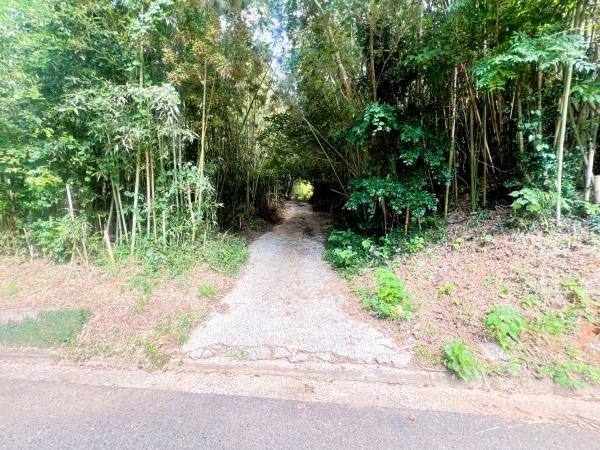 福岡市西区今津字上塚土地の前面道路含む現地写真画像