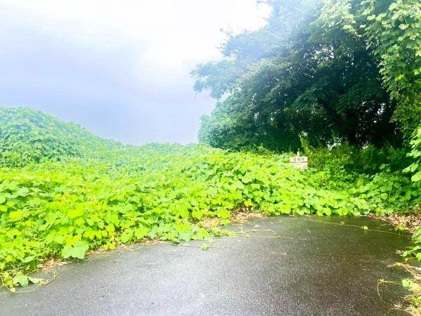 佐賀県鳥栖市養父町土地 土地