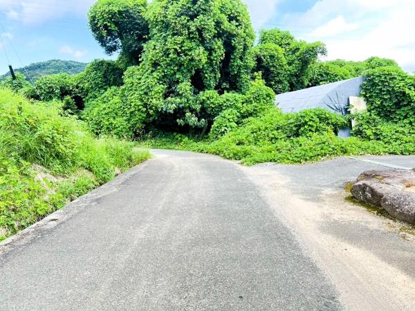 佐賀県鳥栖市養父町土地の前面道路含む現地写真画像