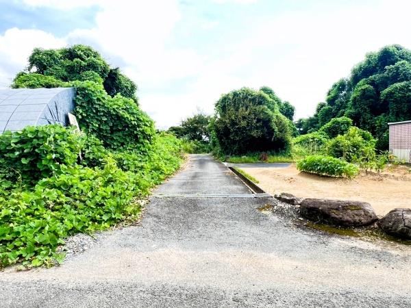 佐賀県鳥栖市養父町土地の前面道路含む現地写真画像