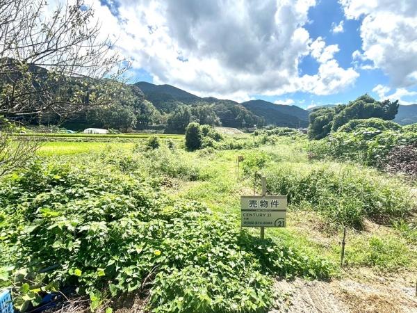 糸島市飯原字平原土地 土地