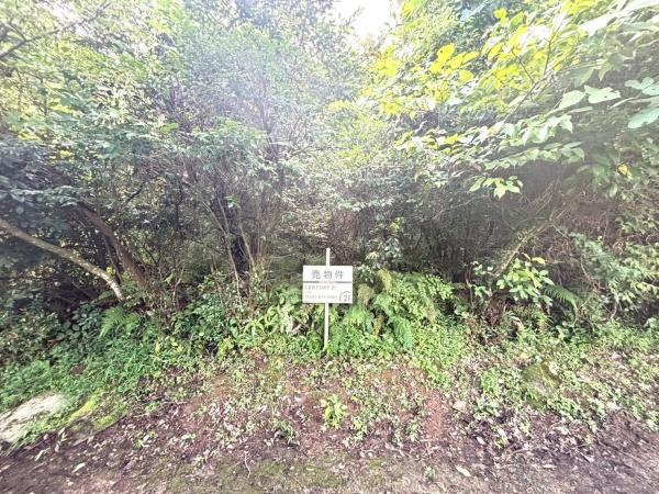福岡市早良区大字西字上廣瀬土地 土地