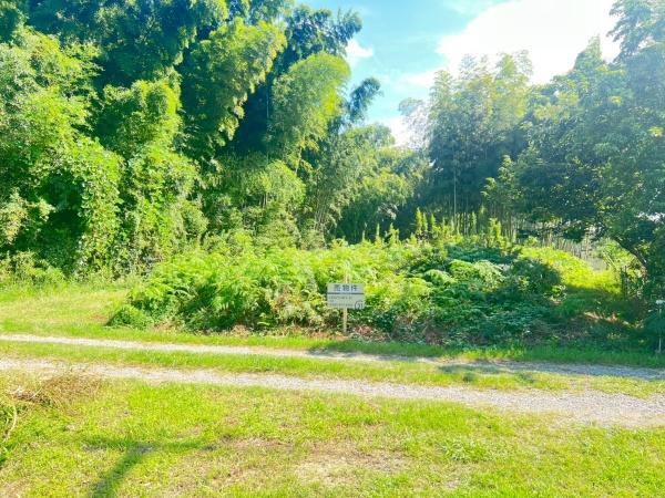 宗像市池田土地 土地