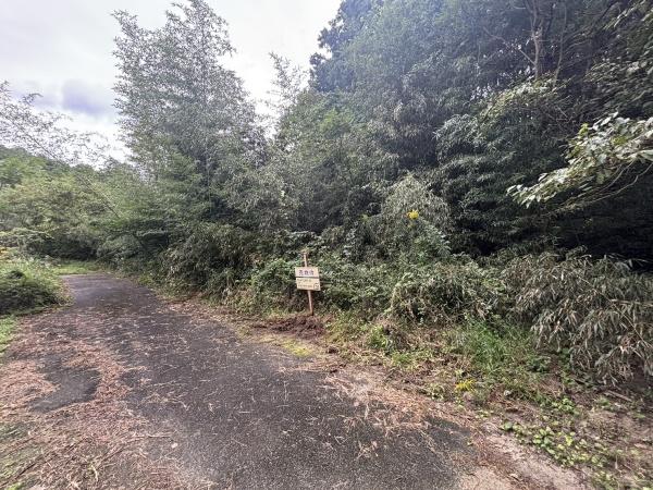 福岡市南区大字柏原土地の前面道路含む現地写真画像
