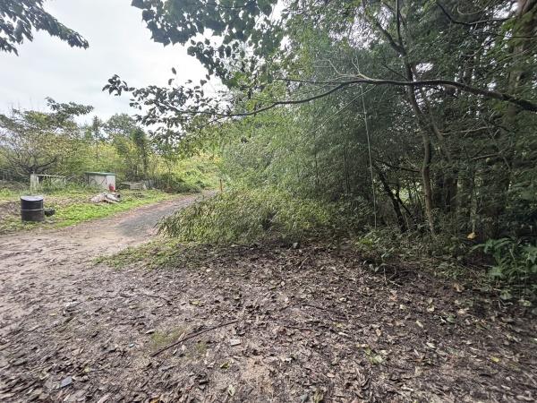 福岡市南区大字柏原土地の前面道路含む現地写真画像