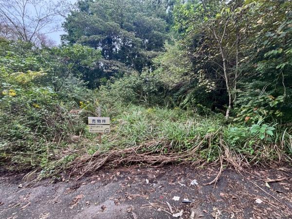 福岡市南区大字柏原字西山田土地の前面道路含む現地写真画像