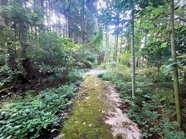 福岡市早良区大字椎原字長野土地の現地土地写真画像