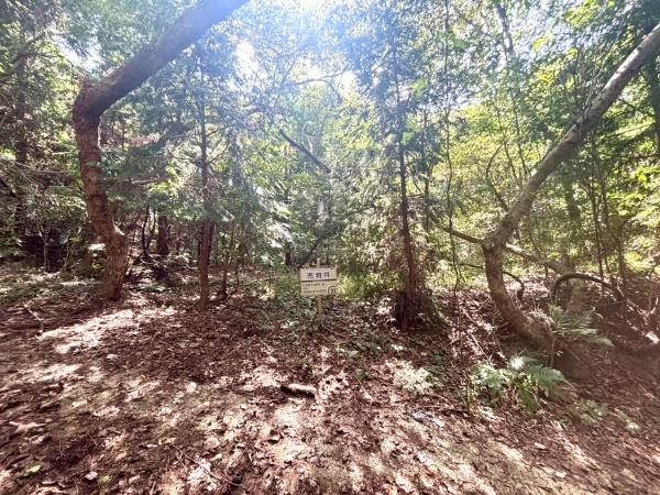 福岡市西区今宿上ノ原字車ノ原土地 土地