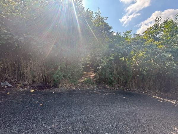 福岡市西区今宿上ノ原字車ノ原土地の現地土地写真画像