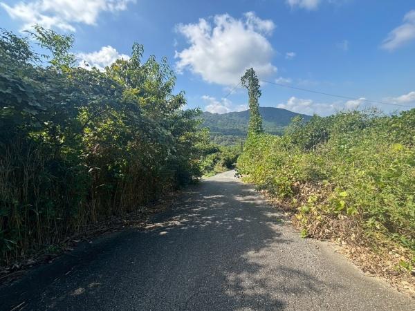 福岡市西区今宿上ノ原字車ノ原土地の現地土地写真画像