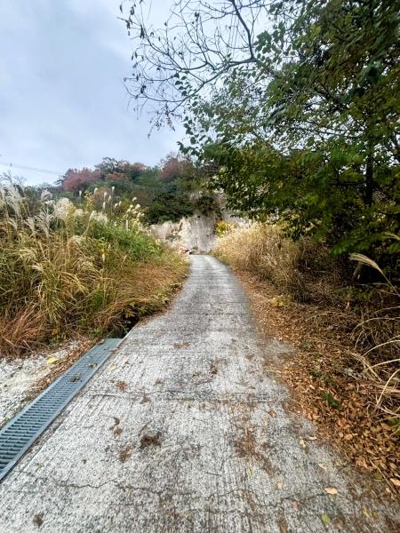 福岡市早良区早良5丁目土地の前面道路含む現地写真画像
