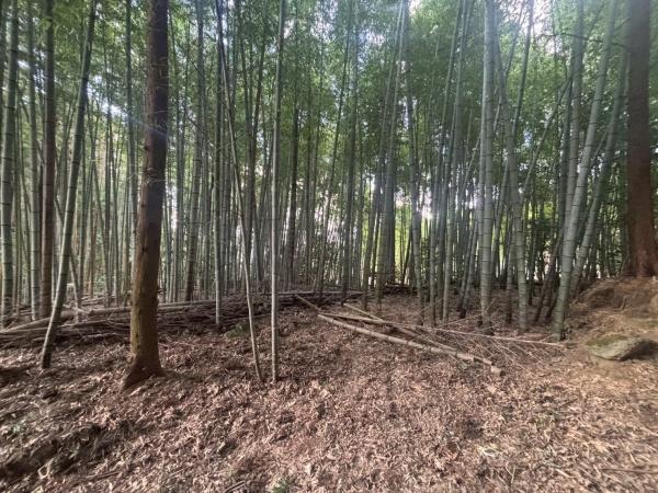 福岡市早良区石釜字釜ケ谷土地の現地土地写真画像