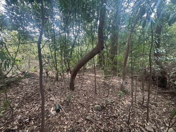 太宰府市三条二丁目土地の現地土地写真画像