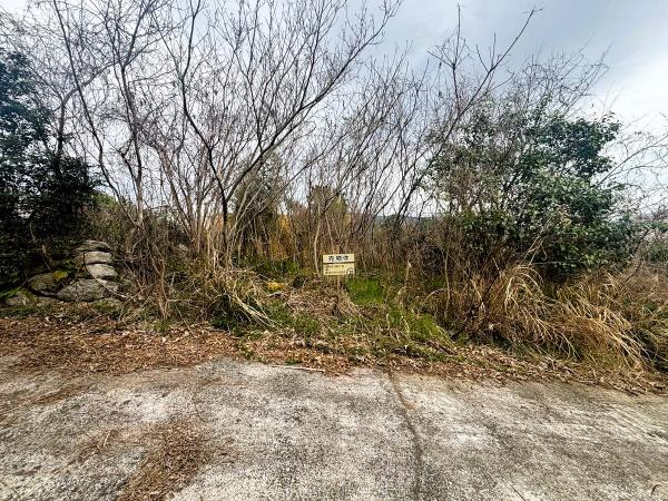 福岡市早良区早良5丁目土地の前面道路含む現地写真画像